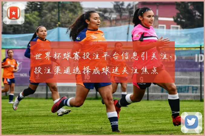 世界杯球赛投注平台信息引关注，投注渠道选择成球迷关注焦点